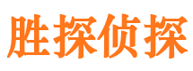 桑日侦探